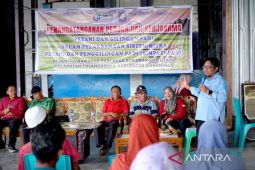 Pemprov Gorontalo tingkatkan kualitas beras melalui Simpati Padi