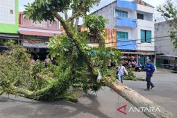 BPBD Rejang Lebong tangani 50 kejadian bencana alam selama 2024