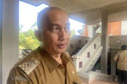 Dewan pengupahan ajukan UMP Bali naik Rp182 ribu ikut arahan Presiden