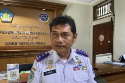 Dishub: Tidak ada bahasan larangan pelat luar Bali masuk saat Nataru