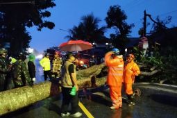 BPBD Banjarnegara Jateng ajukan status siaga darurat bencana hidrometeorologi