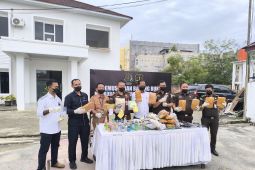 Kejari Labuhanbatu musnahkan barang bukti perkara tindak pidana umum