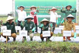 Jaga stabilitas pangan, Pemprov Banten dorong produksi bawang merah