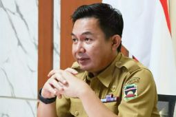 Pemkab Purwakarta menerbitkan 36.553 NIB untuk UMKM sepanjang 2024
