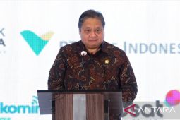 Airlangga menilai PLN jadi tonggak keberhasilan energi terbarukan RI