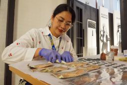 Kurs rupiah pada Selasa bisa melemah lagi seiring sentimen positif dolar AS