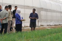 Pemkot Palu terus motivasi petani bawang tingkatkan produksi