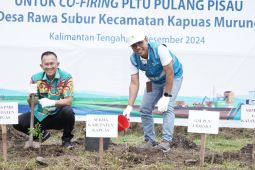 PLN tanam 200 ribu bibit gamal di Kalteng