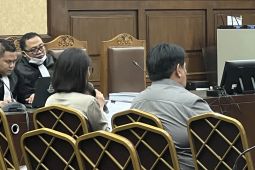 Helena Lim: Stigma 'Crazy Rich' menormalkan tirani penegakan hukum