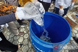 Dokter: alkohol bisa percepat kerusakan organ hati