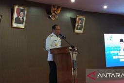 138 desa di Babel berstatus maju