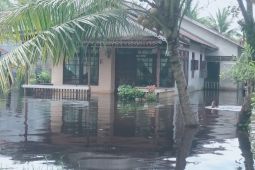 Sebanyak 41 KK warga Singkawang Utara dievakuasi dari banjir