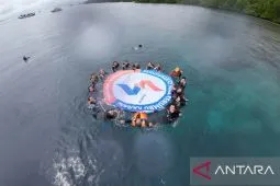 Pupuk Kaltim tanamkan pentingnya pelestarian ekosistem perairan di Likupang