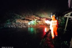 BPBD tangani longsor tutup akses Pacitan-Wonogiri