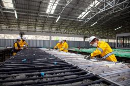 Selidik bulauan di tanah Dompu