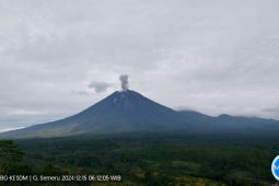Gunung Semeru beberapa kali erupsi disertai letusan hingga 1 kilometer