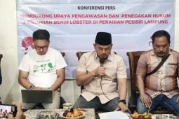 Anggota DPRD Lampung minta aparat ungkap pemain besar BBL ilegal