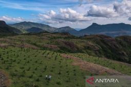 Vale perkuat kolaborasi media untuk pertambangan berkelanjutan