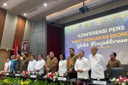 Tetapkan PPN 12 persen tahun depan, pemerintah siapkan paket stimulus ekonomi