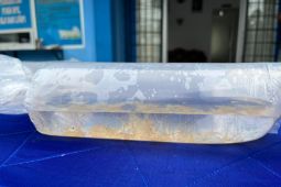 Polres Pesibar komitmen berantas penyelundupan BBL  ilegal