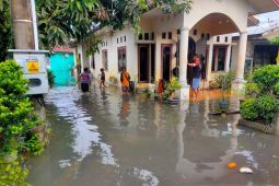 Banjir rob rendam puluhan rumah warga pesisir Tanjungpendam