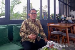 Ekonom sebut insentif tidak cukup redam dampak PPN naik jadi 12 persen