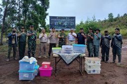 BBKSDA Papua melepasliarkan 264 satwa liar ke kawasan cagar alam Pegunungan Cyloop