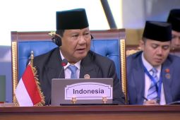 D-8 harus lebih dari blok ekonomi untuk raih kemakmuran rakyat