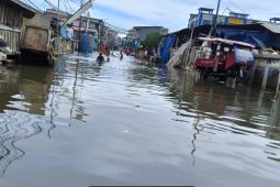 Dua RT di Kelurahan Pluit Jakarta kembali terendam banjir rob pada Kamis siang