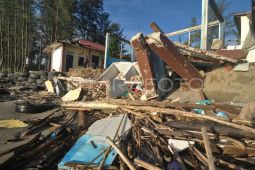 Konservasi penyu di Bengkulu Tengah rusak akibat abrasi pantai