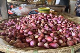 Harga pangan mayoritas turun, bawang merah menjadi Rp39.150 per kg
