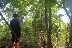 Pemdes harap perusahaan batu gamping bantu sejahterakan rakyat