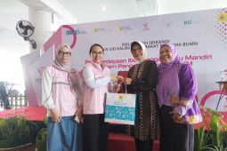 Srikandi PLN Group tingkatkan kapasitas pelaku UMKM perempuan Pontianak