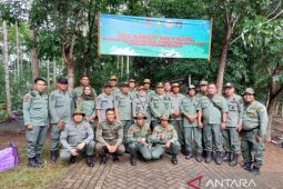 Jumlah polisi kehutanan di Kalsel sangat kurang