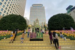 Plaza Senayan hadirkan suasana film "Wicked" libur natal