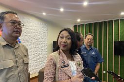 Kemenpar minta turis cek cuaca buntut tragedi pohon tumbang di Monkey Forest