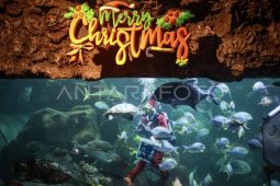 Pertunjukan Santa Claus di dalam air
