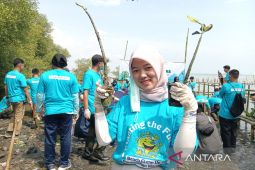 Pelni tanam 2 ribu bibit mangrove di Cirebon