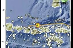 Hari Jumat, gempa magnitudo 4,2 guncang Sumbawa