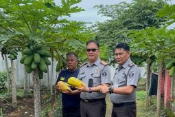 Lapas Curup manfaatkan pekarangan untuk program ketahanan pangan