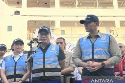 Peleburan Pelni-ASDP dan Pelindo masih dikaji