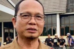 Terdampak timah, pertumbuhan ekonomi Bangka Tengah 2024 melemah