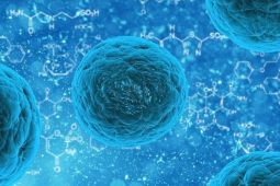 Jumlah kasus norovirus diperkirakan meningkat di AS