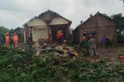 Puting beliung rusak 21 rumah di dua desa di Jepara