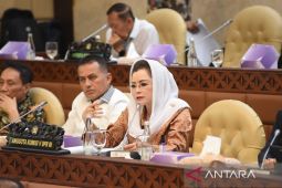 DPR  ajak rakyat semangat sambut Tahun Baru untuk bangun RI lebih baik