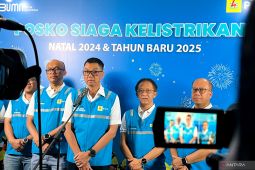 Dirut PLN sebut pasokan listrik selama perayaan Natal berjalan lancar