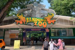 Satgas Pungli ringkus juru parkir Bandung Zoo patok tarif Rp150 ribu