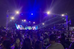 Ribuan pengunjung nikmati konser jelang pergantian tahun di area Pantai Ancol