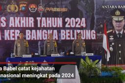Polda Babel catat kejahatan transnasional meningkat pada 2024
