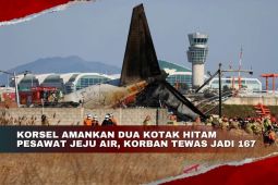 Korsel amankan dua kotak hitam pesawat Jeju Air, korban tewas jadi 167